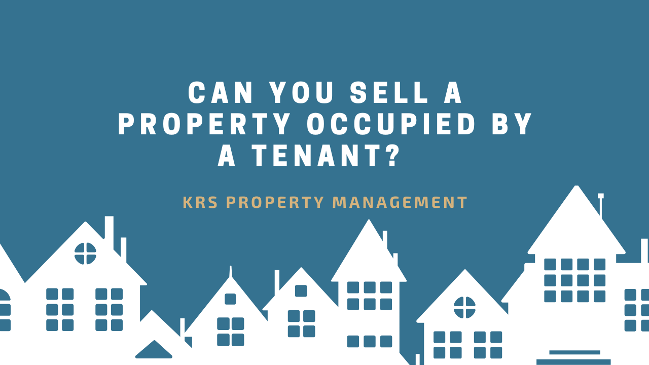 Property Management Blog